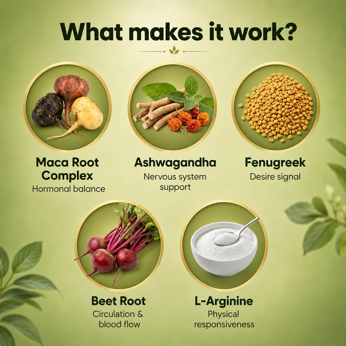 Maca Root Complex — Hormone & Energy Support for Women